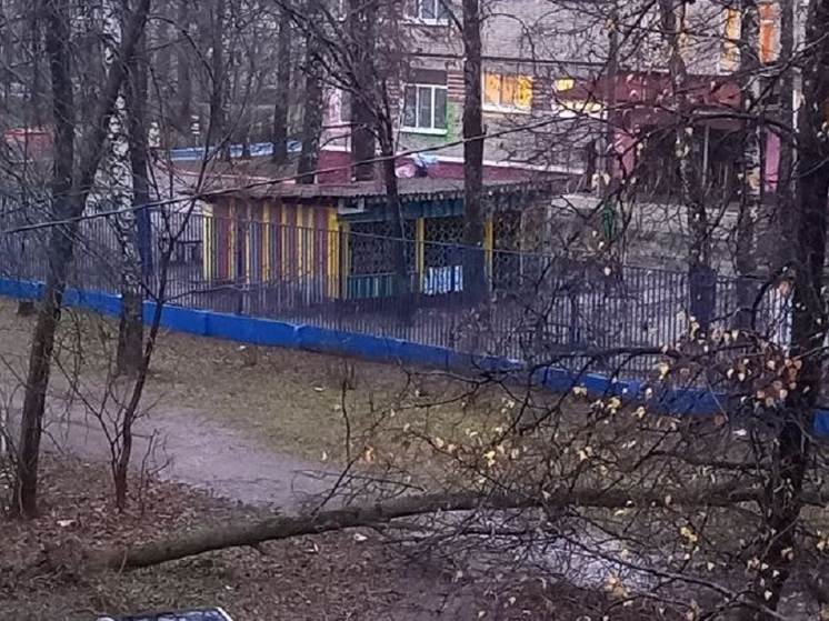 Дерево упало возле детского сада на улице Советской Армии в Рязани