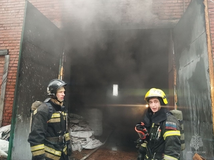 За день в Волжске горели цех, автомобиль и мусор