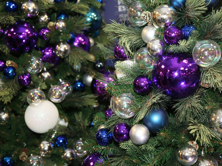 На Московском проспекте в Петербурге два подростка забрались на верхушку новогодней елки