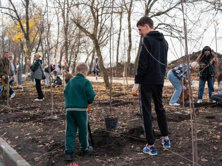 На Западном обходе в Краснодаре высадили 141 плодовое дерево