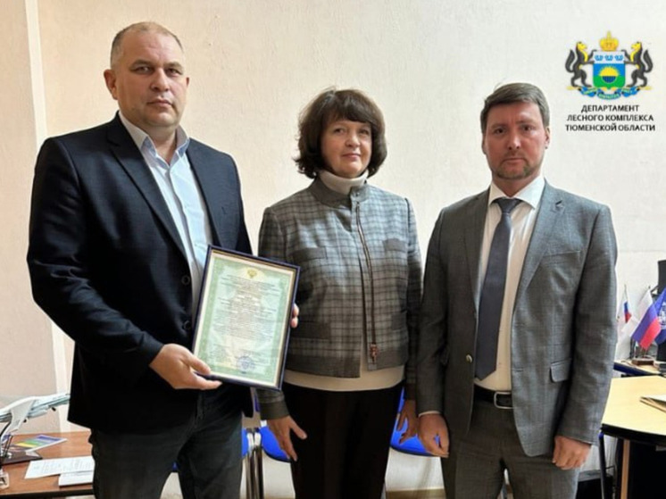 В Тюменской области леса охраняют с помощью беспилотников