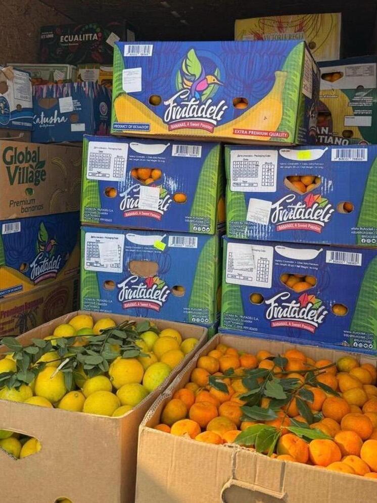 В Сочи предотвратили ввоз 12,5 тонны зараженных мандаринов