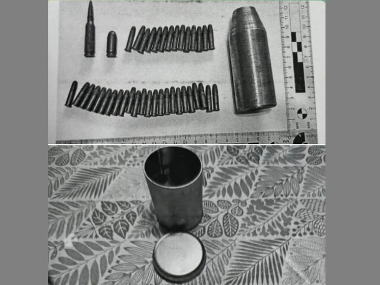 Воронежца будут судить за хранение случайно найденных патронов