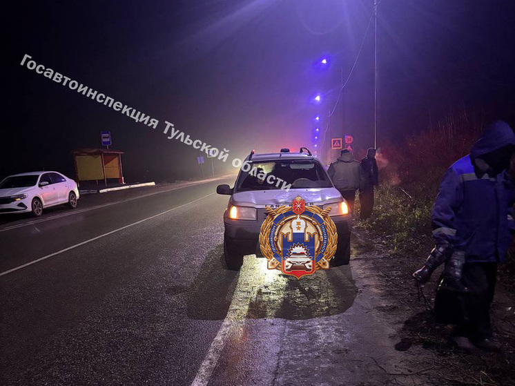 В Щёкине Land Rover снёс подростка, перебегавшего дорогу в сумерках