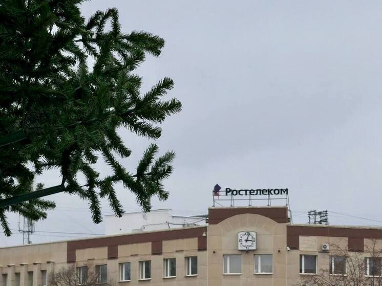 Предновогоднее волшебство в прямом эфире: камера «Ростелекома» запечатлела установку главной праздничной елки в Великом Новгороде