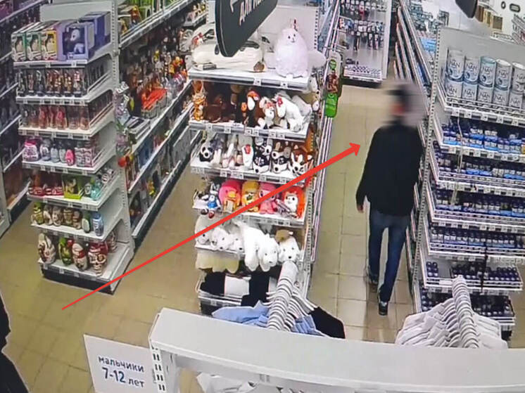 Гастролер-вор из Ижевска задержан в Чувашии после серии краж детских товаров