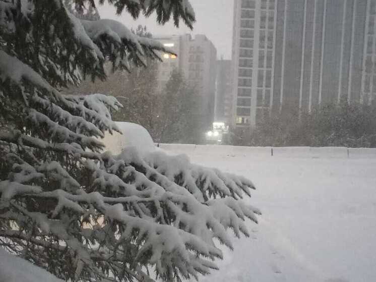 Новосибирскую область ожидают морозы до -35 градусов