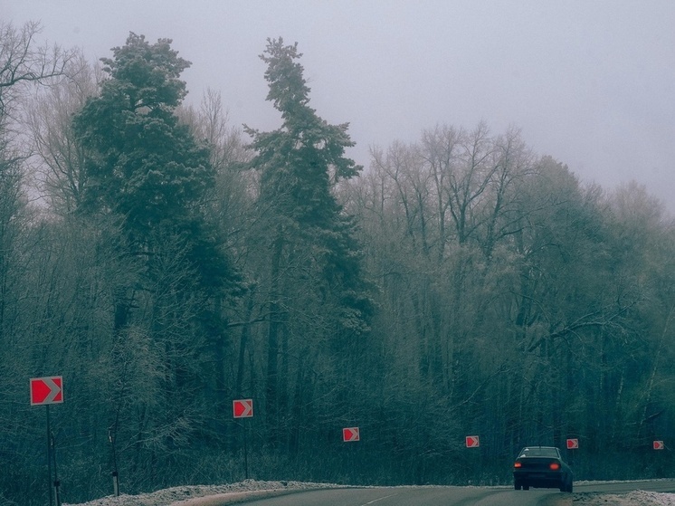 На трассе М-4 в Тульской области начали строить надземные пешеходные переходы