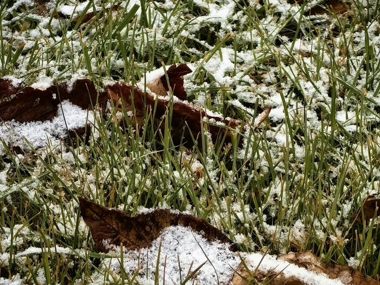 Потепление останется в Петербурге еще на недельку