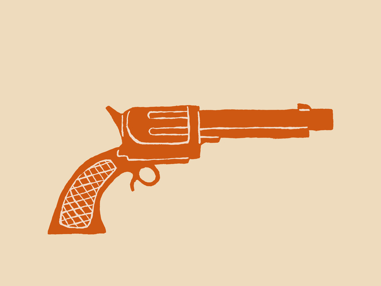 Самодельный пистолет для отпугивания зверей стоил инжавинцу более 4 лет строгого режима