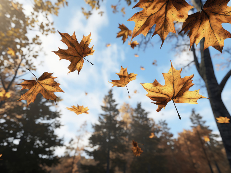 16 градусов тепла прогнозируют в Херсонской области 29 ноября