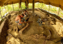 6 и 7 декабря ученые, популяризаторы науки Антон Колесников, кандидат геолого-минералогических наук, заведующий лабораторией Геологического института РАН, и Дмитрий Григорьев, кандидат биологических наук, заведующий палеонтологическим музеем Санкт-Петербургского университета, прочитают лекции в Музее пермских древностей