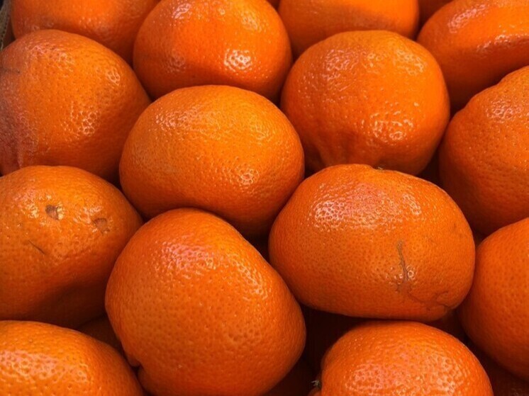 Опасных плодовых мух на клементинах из Марокко не пустили в Петербург