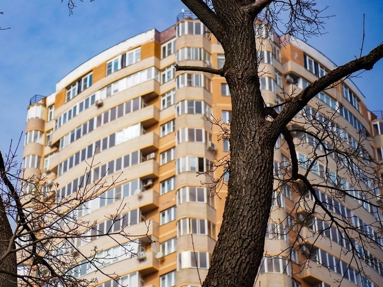 Тульский Росреестр назвал частые причины приостановки регистрации недвижимости