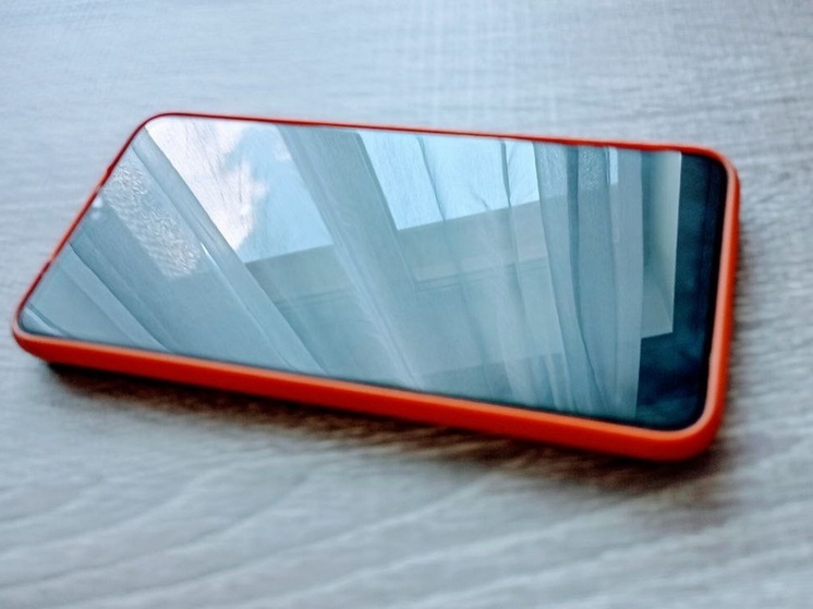 В Саратовской области задержан мужчина, подозреваемый в совращении малолетних через онлайн-игру