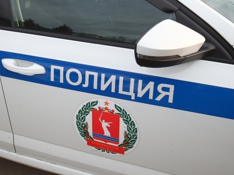  Полиция Волгограда задержала подозреваемых в краже продуктов на 18 000 рублей