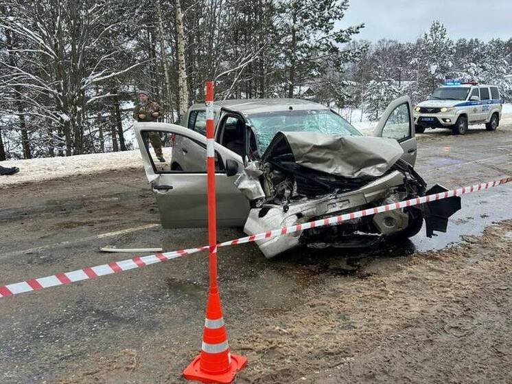 В Новгородской области резко возросло число смертельных ДТП