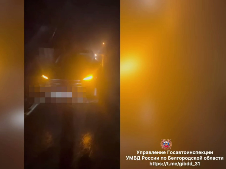 В Белгородском округе 11-летняя девочка попала под колеса «Эксида»