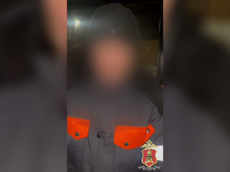 Мужчина склонял девочек из Тверской области присылать ему фотографии своих тел