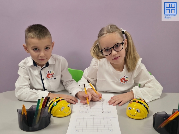 В Архангельской области подвели итоги чемпионата «Юный мастер»