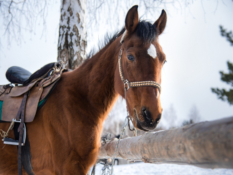 Приметы на Григорьев день: что нельзя делать 30 ноября 2025 года