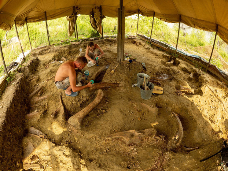 6 и 7 декабря ученые, популяризаторы науки Антон Колесников, кандидат геолого-минералогических наук, заведующий лабораторией Геологического института РАН, и Дмитрий Григорьев, кандидат биологических наук, заведующий палеонтологическим музеем Санкт-Петербургского университета, прочитают лекции в Музее пермских древностей