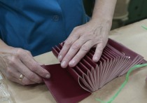 На фоне нового витка коррупционного скандала, непосредственно затрагивающего уже сам Офис президента в лице его главы Андрея Ермака, в украинских СМИ появилась «разоблачающая» информация: мол, у главы САП (антикоррупционной прокуратуры) Клименко обнаружен российский паспорт