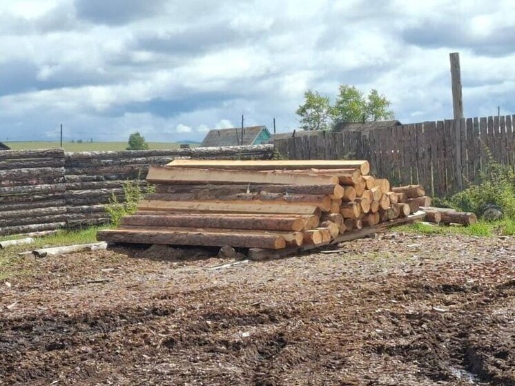 В Бурятии два лихих лесоруба незаконно срубили 115 деревьев