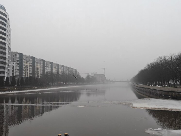В Калининграде взлетели цены на квартплату и страховку, а отпуск в Турции подешевел