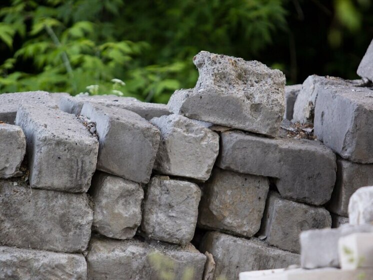 Новый парк для семейного отдыха появится в Курске в 2026 году