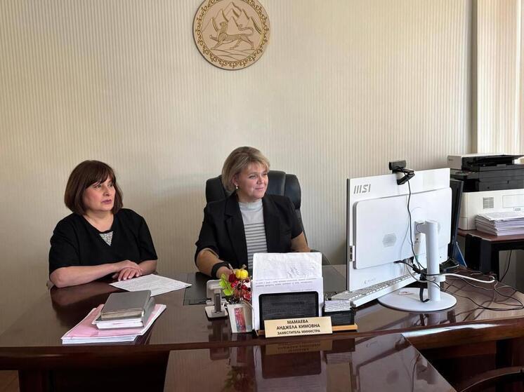 Соцведомства Северной Осетии и Запорожской области договорились о совместной работе