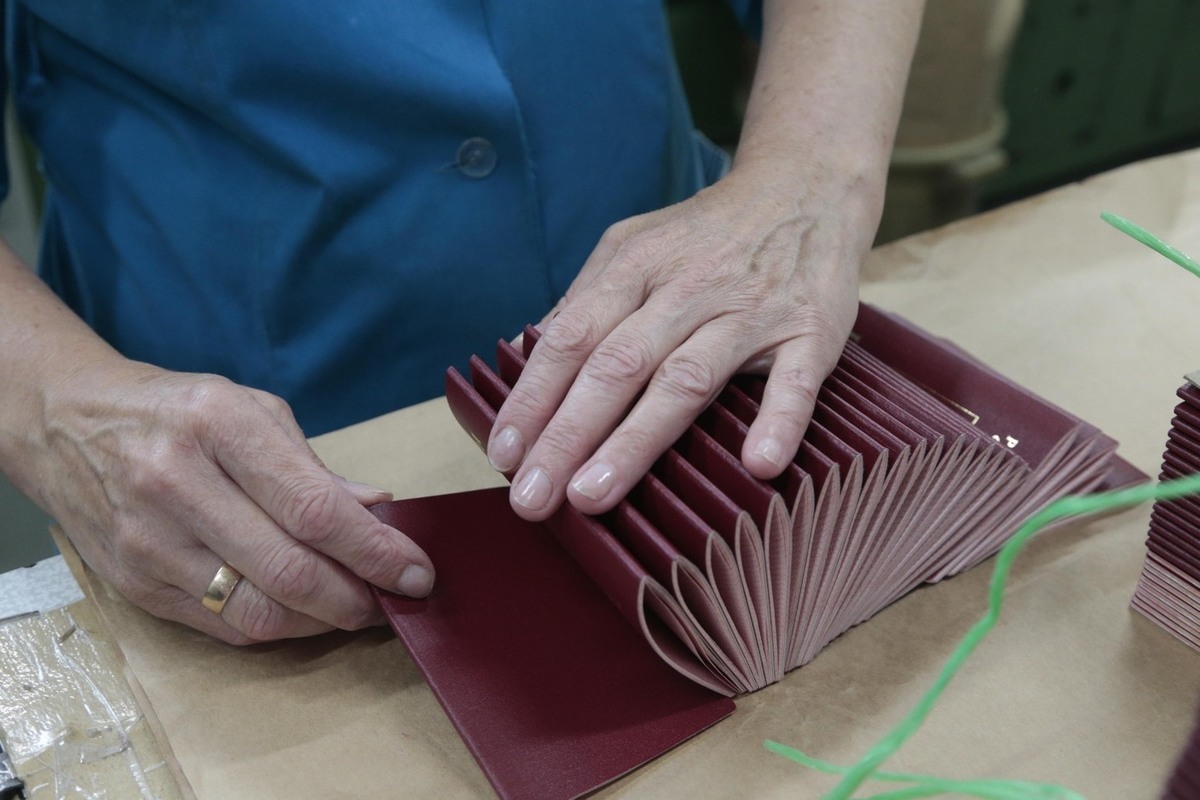 Создание фальшивых российских паспортов для неугодных на Украине поставили на поток