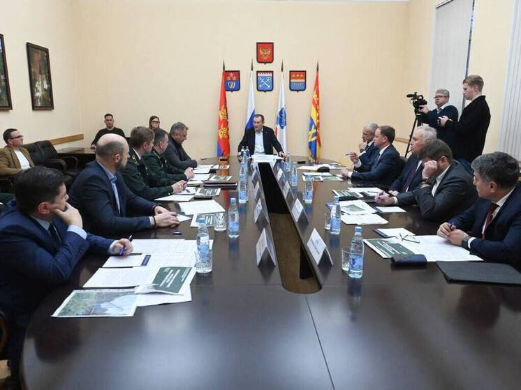 В Ленобласти запустят программу «Чистые леса», начиная с Карельского перешейка