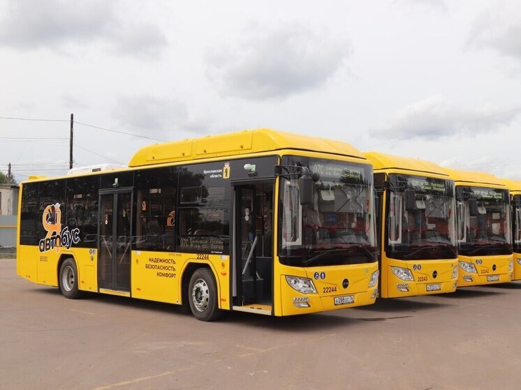 В Ярославле учредили автобусный маршрут от «Альтаира» до Богоявленской площади.