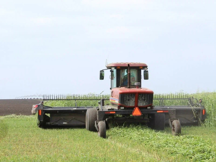 Краснодарские аграрии завершили осенний сев озимых культур