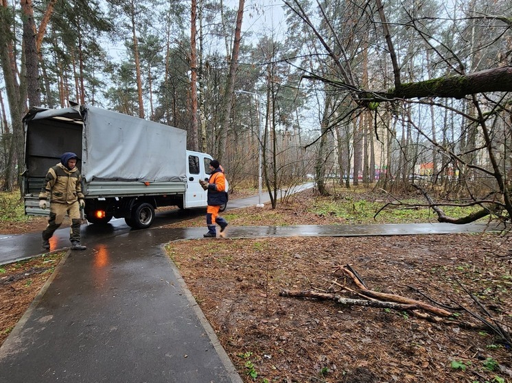 В Протвино навели порядок в лесу у автостанции
