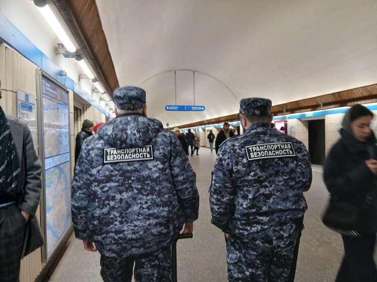 Поезда от станции «Спасская» до станции «Горный Институт» остановлены