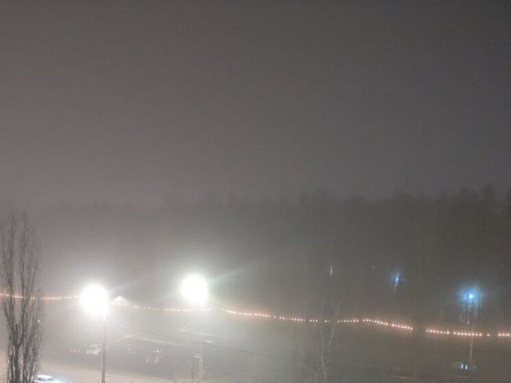 Воронежскую область снова атаковали туманы