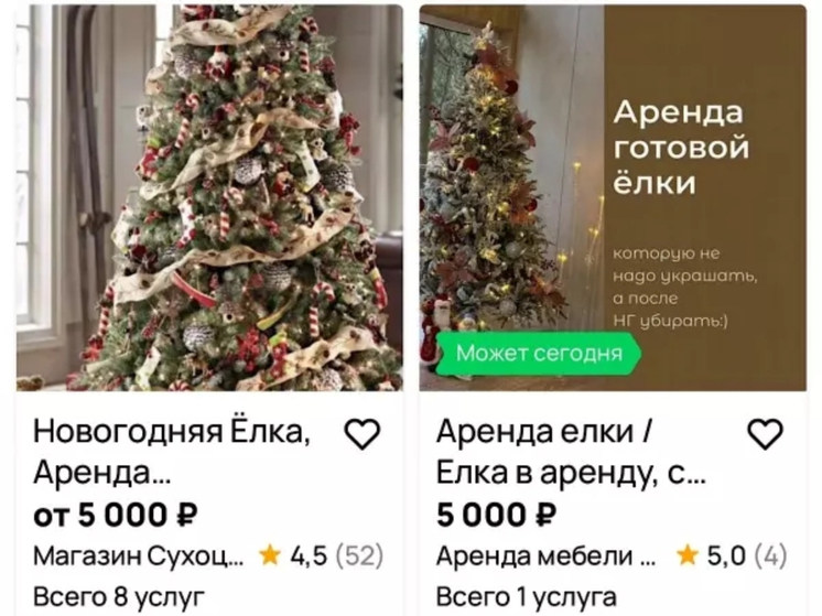 Аренда «елк с декором» может оказаться для ростовчан в разы дешевле