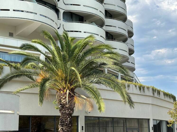 В отелях применяется динамическое ценообразование