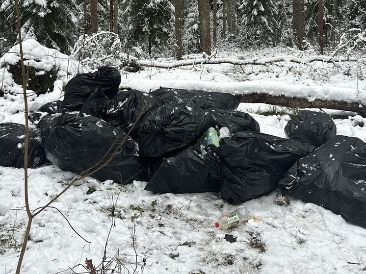 Житель Касколовки помог выявить нелегальную свалку в лесу