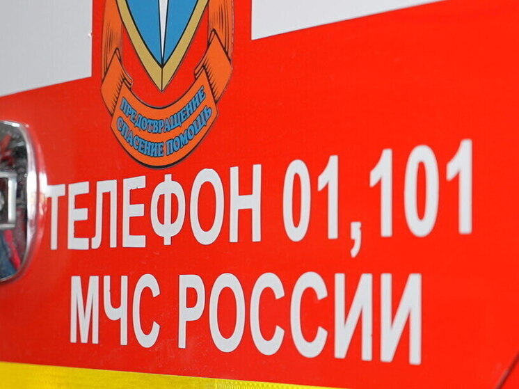 На трассе в Астраханской области во время движения загорелся автомобиль