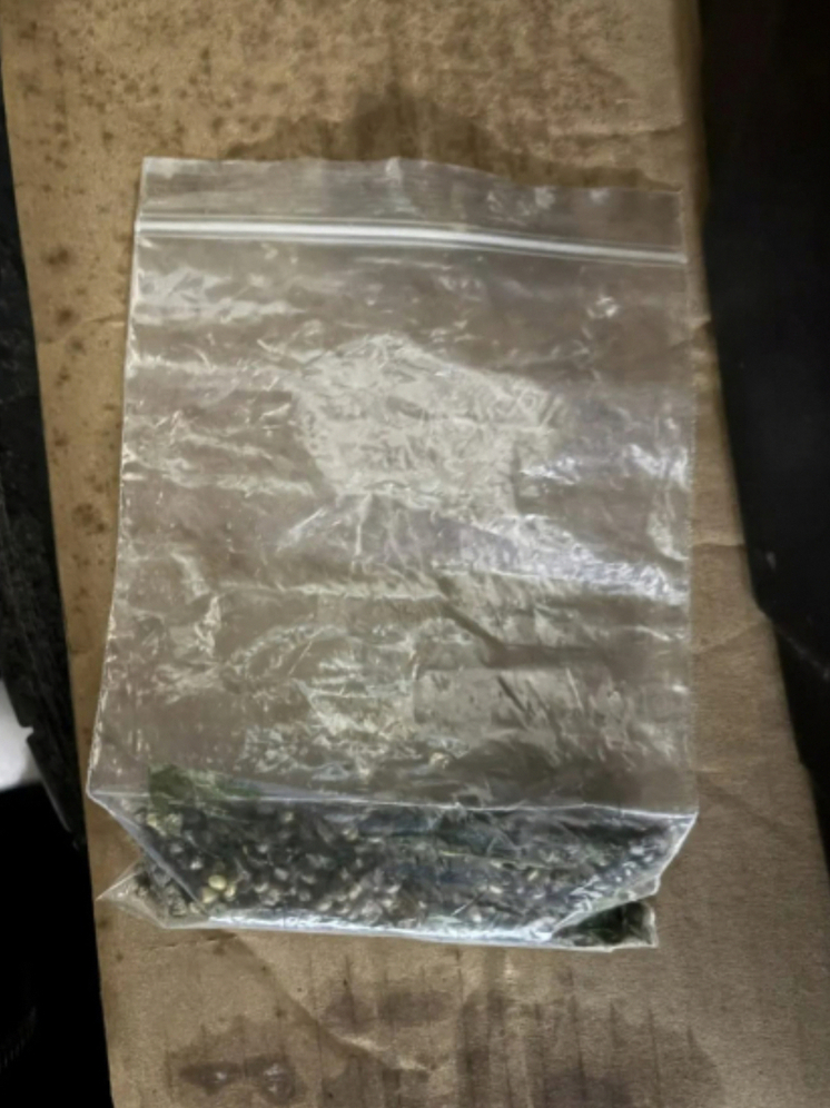 Орловца задержали за хранение и изготовление наркотиков