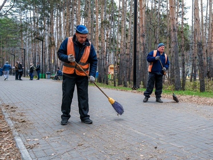 Челябинская область не стала лидером в УрФО по зарплатам дворникам