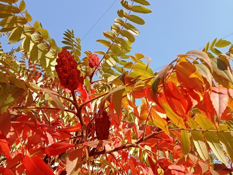 Сила магнитной бури 29 ноября составит 4 балла: негативное время для новых начинаний