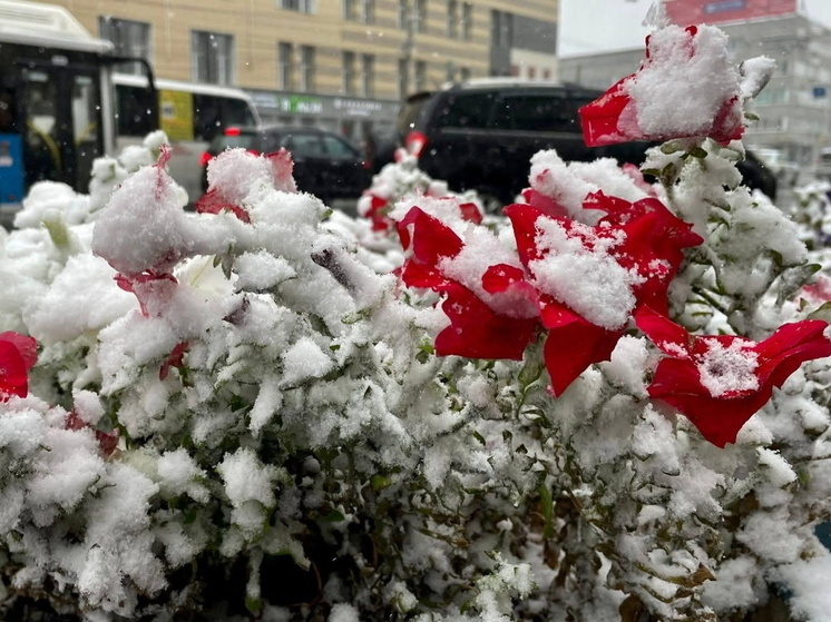 От плюса к морозам: синоптики сообщили прогноз для Омской области на первые дни декабря