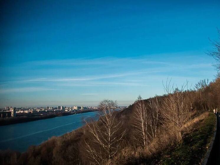 Пасмурную погоду прогнозируют синоптики в Нижнем Новгороде 29 ноября