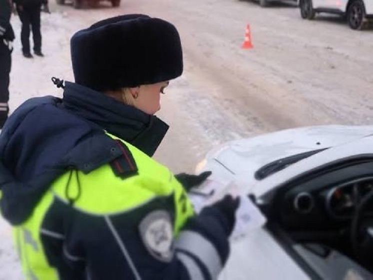 Более 10 тысяч пьяных нижегородцев за рулем задержаны с начала года