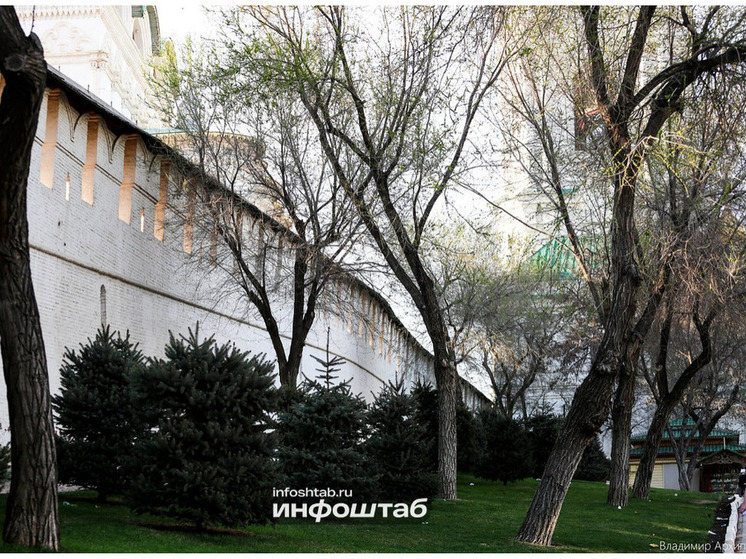 Астраханцы 29 ноября отмечается Матвеев день