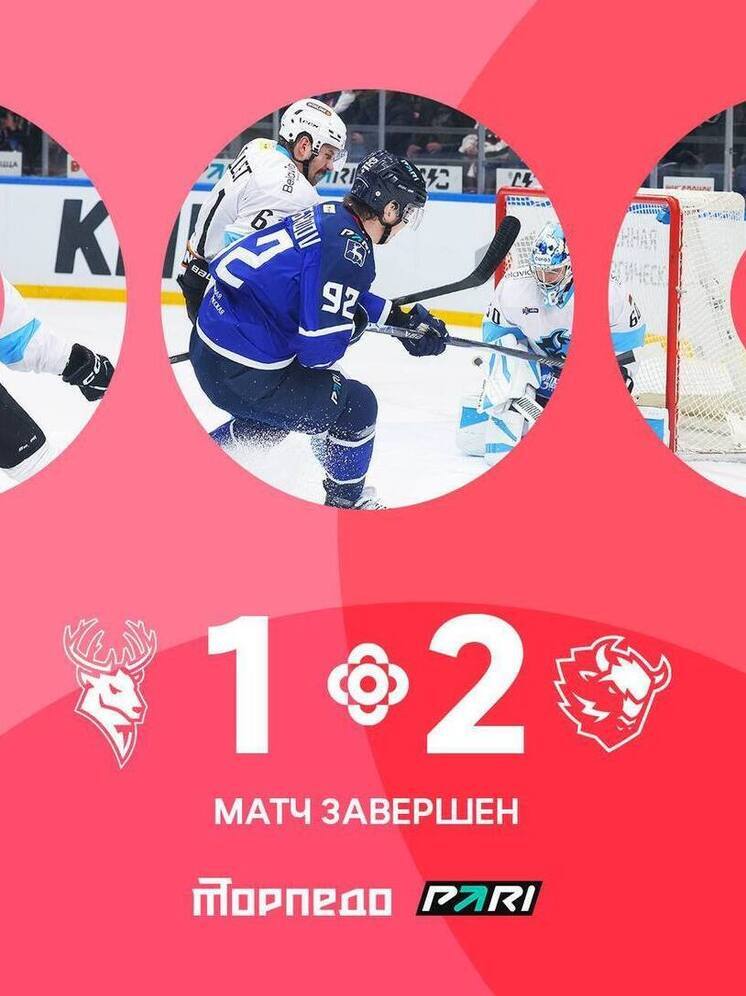 «Торпедо» уступает в последней домашней игре ноября